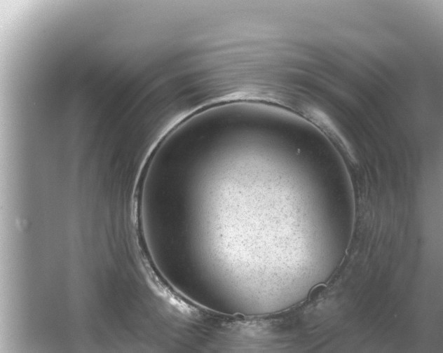 X0000067900900200604171400