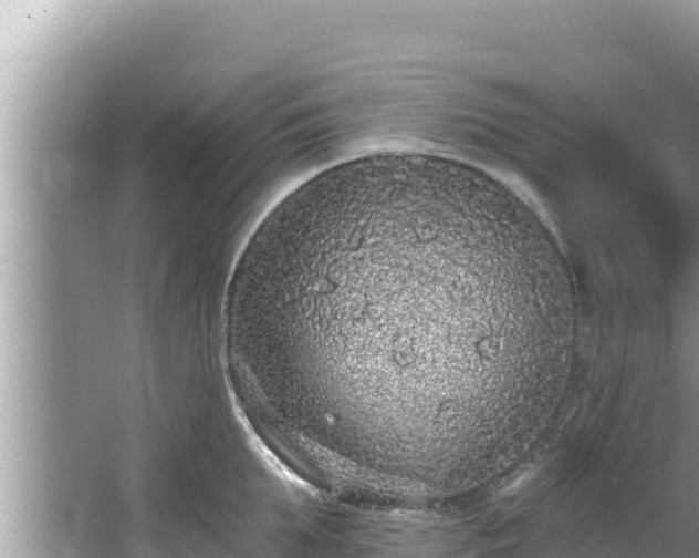 X0000067900903200604171400