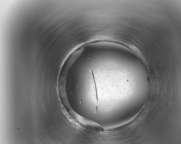 X0000067900904200604171400