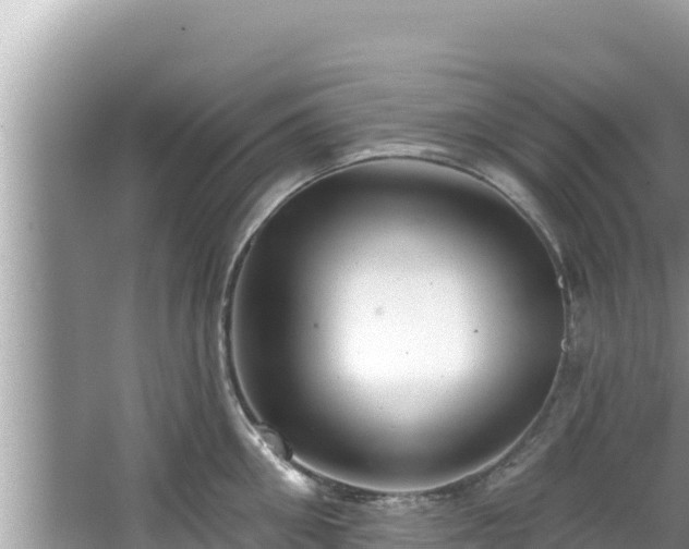 X0000067900906200604171400