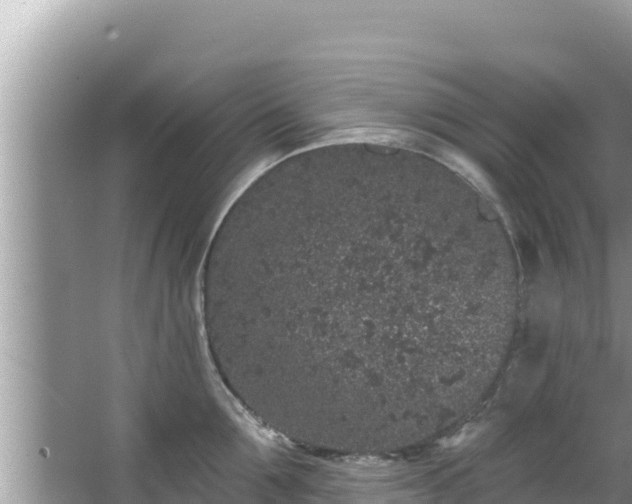 X0000067900907200604171400