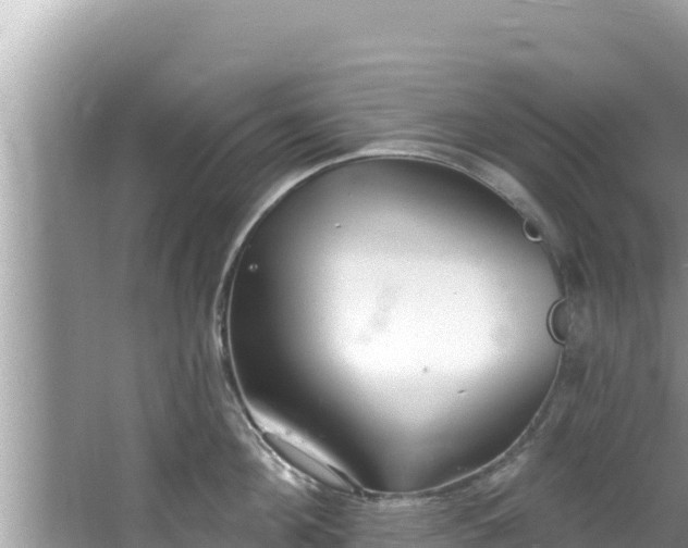 X0000067900908200604171400