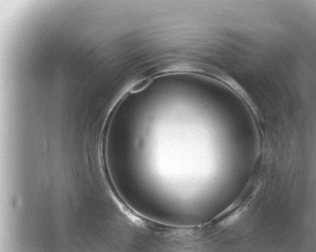 X0000067900909200604171400