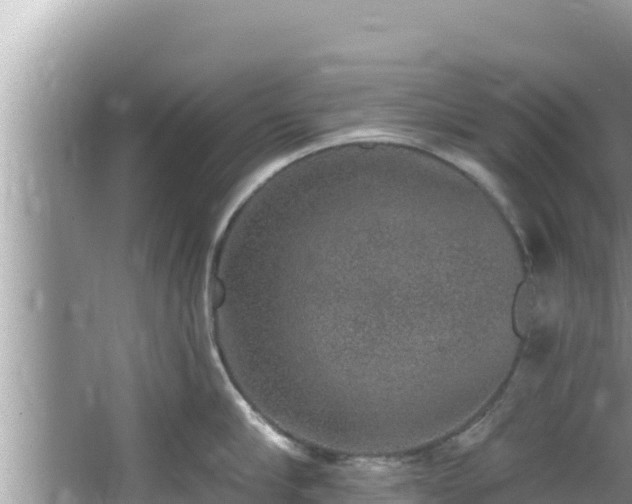 X0000067900910200604171400