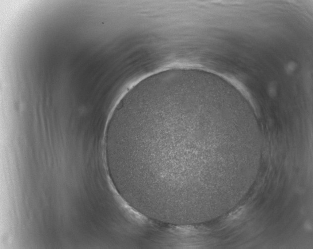 X0000067900911200604171359