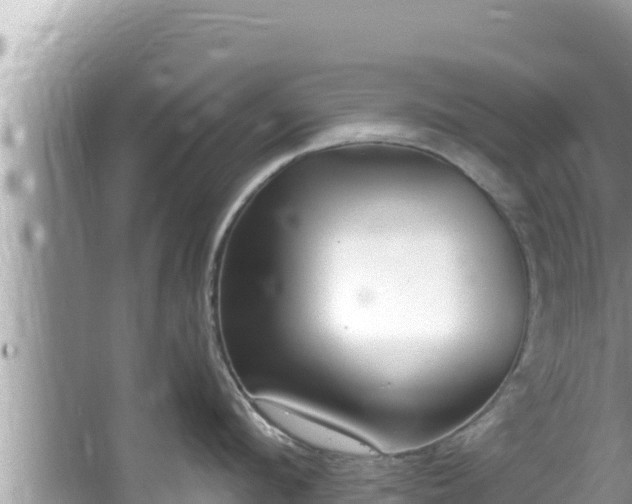 X0000067900912200604171359