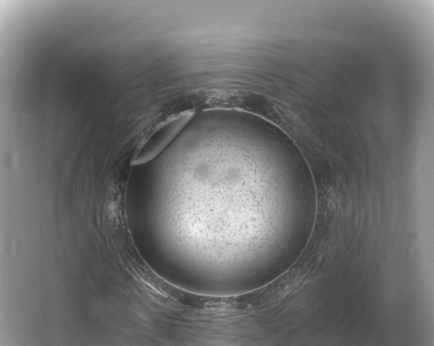 X0000067900914200604171359