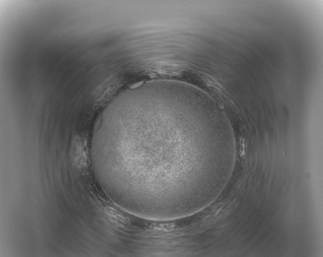 X0000067900915200604171359