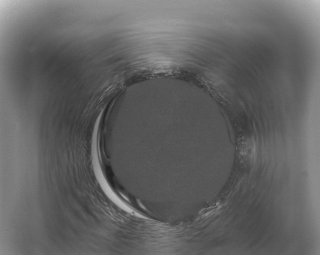 X0000067900916200604171359