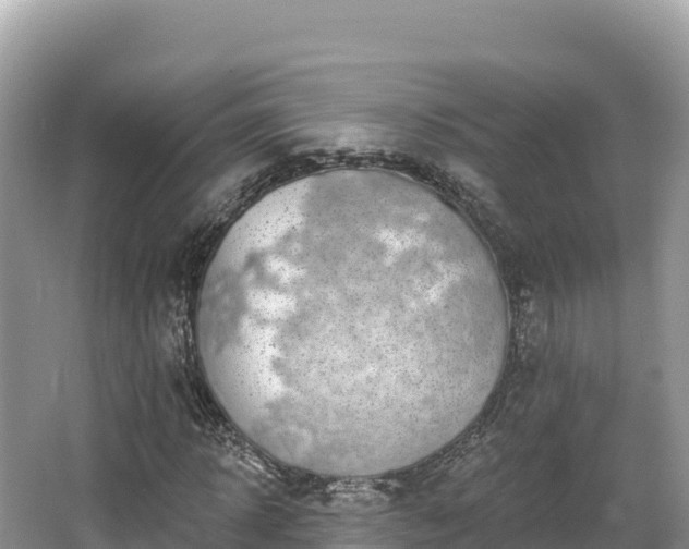 X0000067900918200604171359