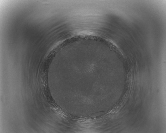 X0000067900919200604171359