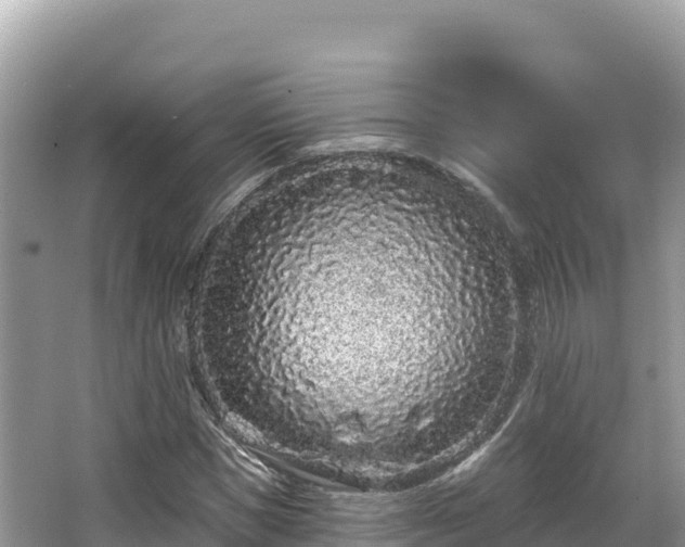 X0000067900921200604171359