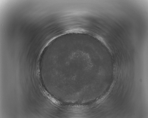 X0000067900923200604171359