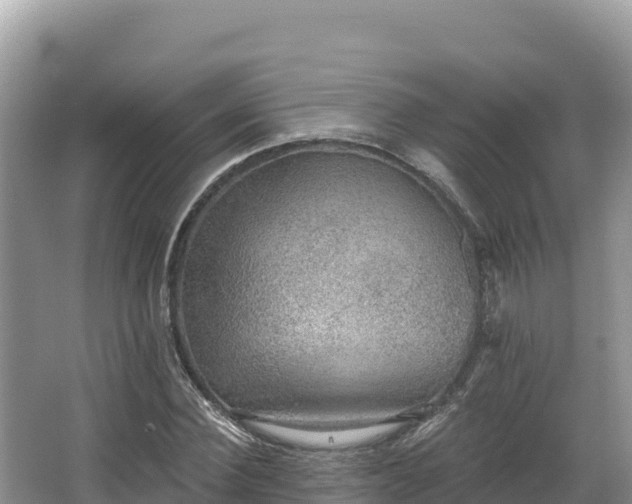 X0000067900924200604171359