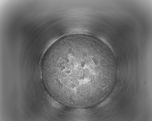 X0000067900925200604171359