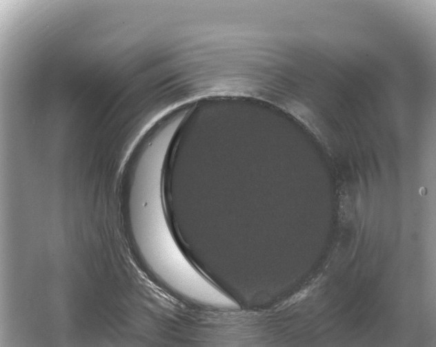 X0000067900926200604171359