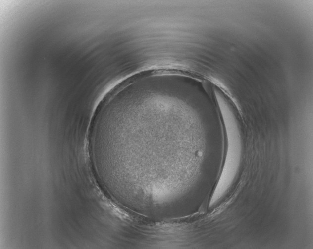 X0000067900928200604171359