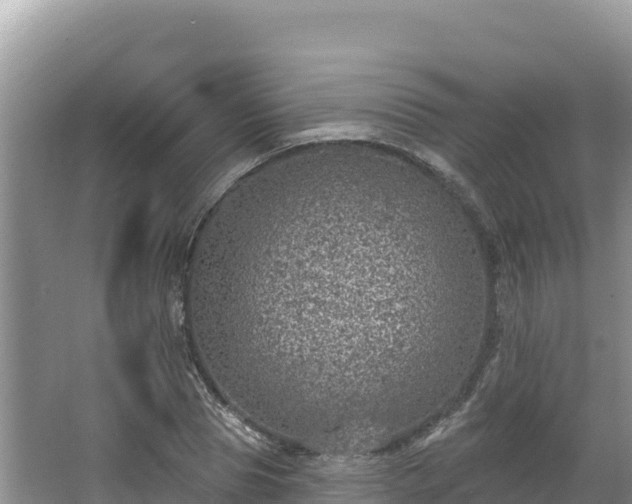 X0000067900929200604171359