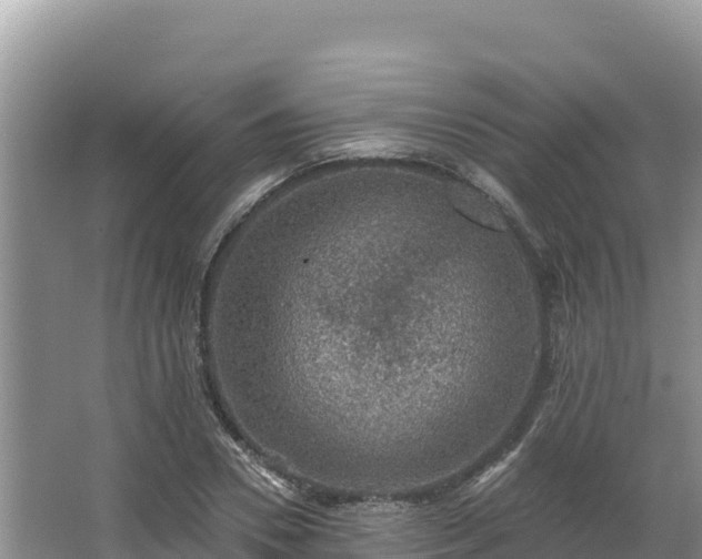 X0000067900930200604171359