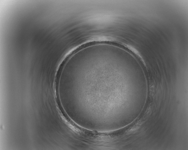 X0000067900935200604171359