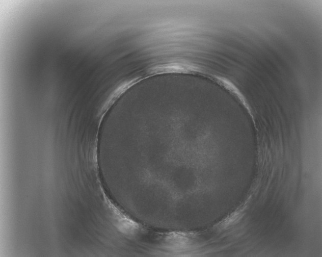 X0000067900938200604171359