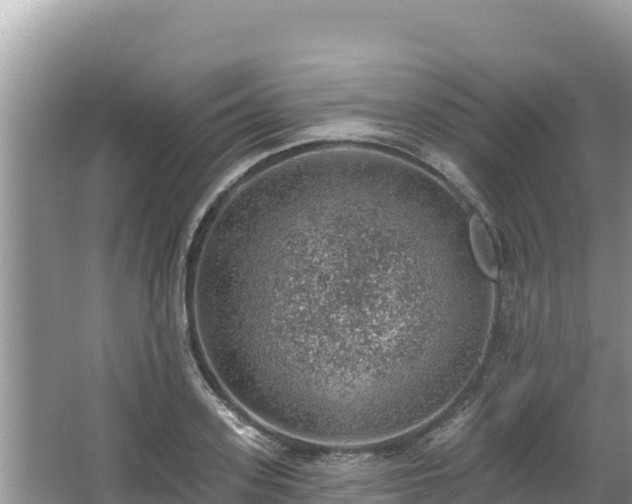 X0000067900939200604171359