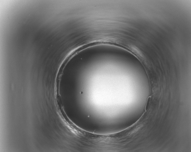 X0000067900940200604171359