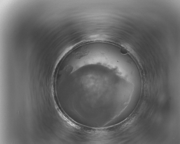 X0000067900941200604171359