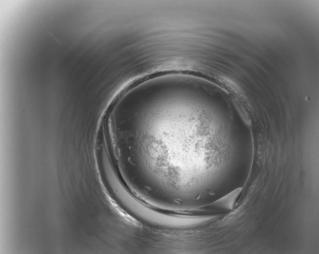 X0000067900942200604171359