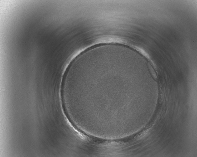 X0000067900943200604171359