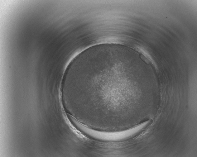 X0000067900944200604171359