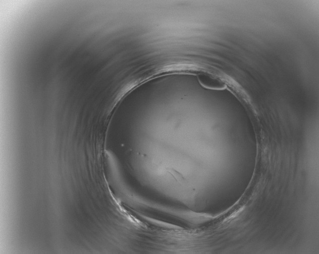 X0000067900945200604171359