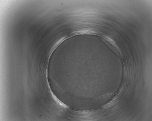 X0000067900946200604171359