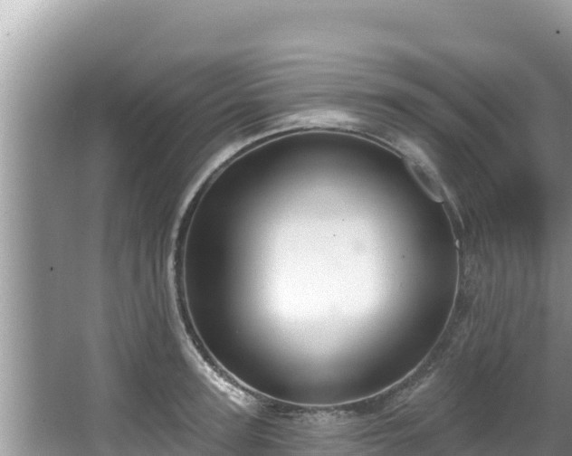 X0000067900947200604171359