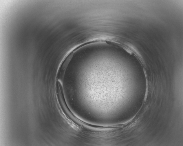 X0000067900948200604171359