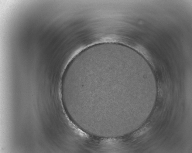 X0000067900950200604171359