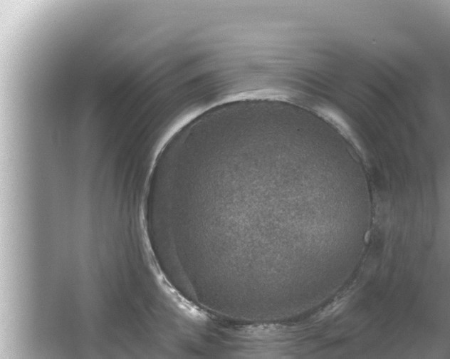 X0000067900952200604171359