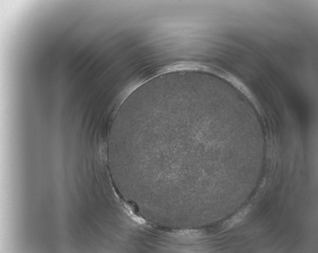 X0000067900953200604171359