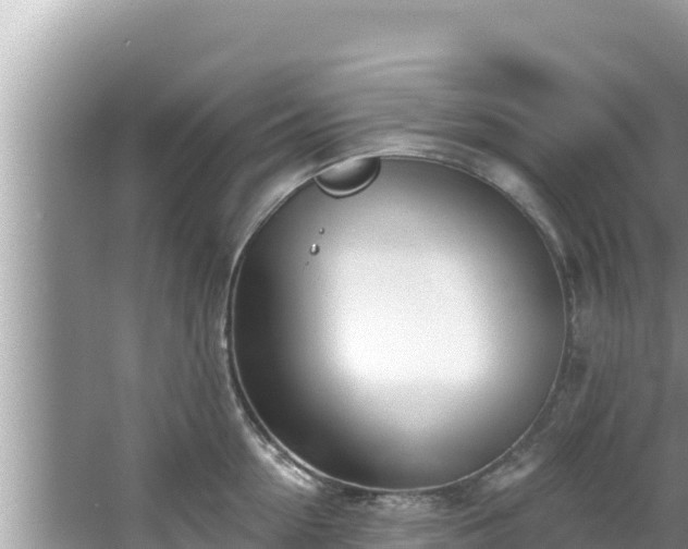 X0000067900954200604171359