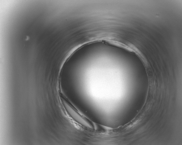 X0000067900956200604171359