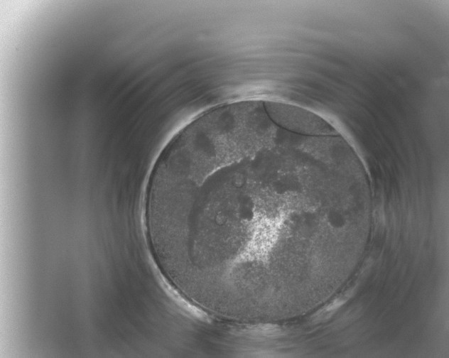 X0000067900957200604171359