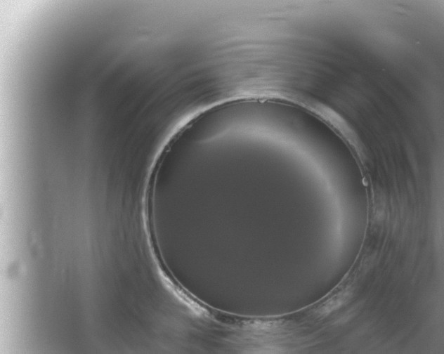 X0000067900958200604171359