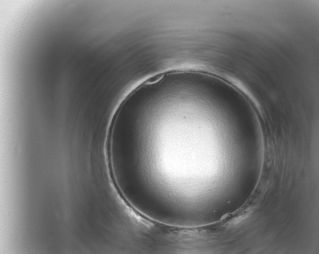 X0000067900959200604171359