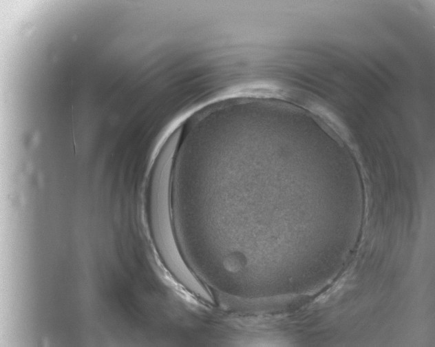 X0000067900960200604171359