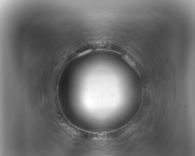 X0000067900961200604171359