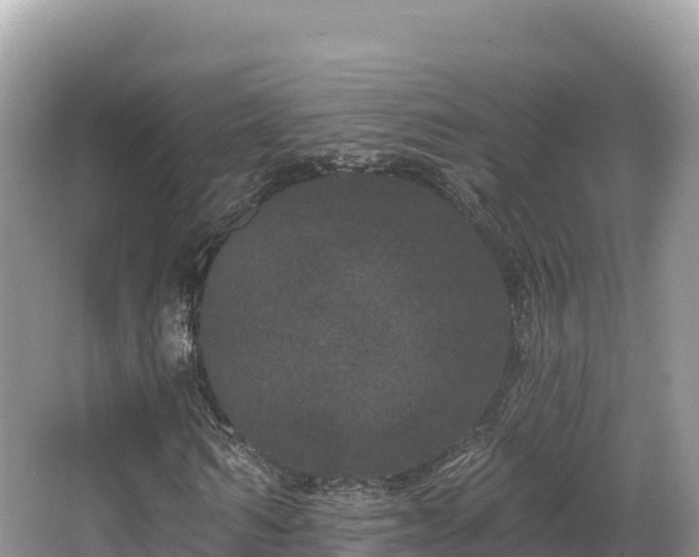 X0000067900962200604171359