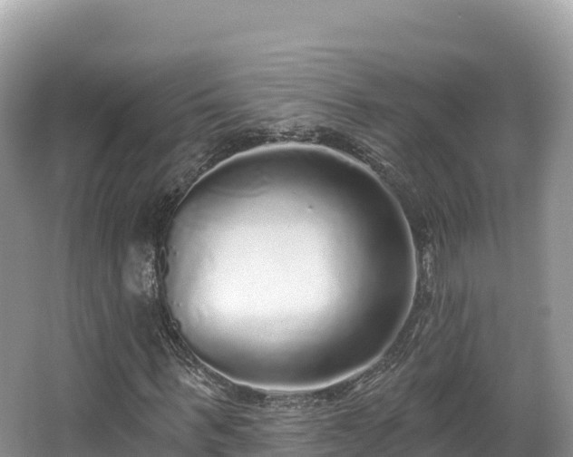 X0000067900963200604171359