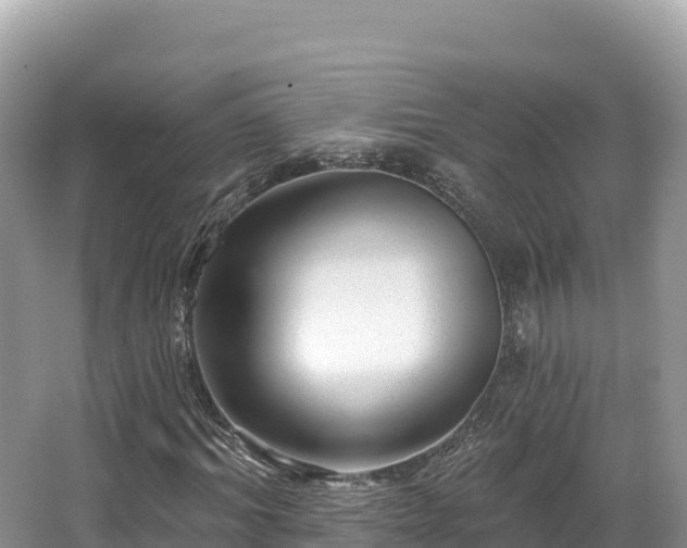 X0000067900964200604171359