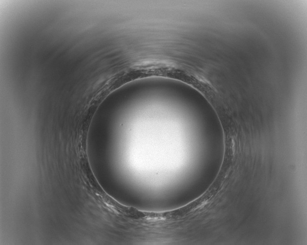 X0000067900965200604171359