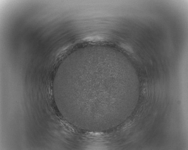 X0000067900966200604171359